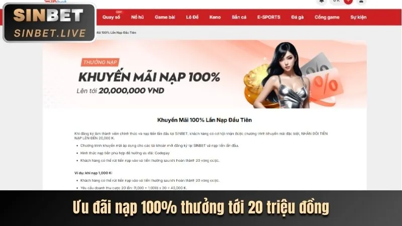Tổng quan các chương trình khuyến mãi và ưu đãi 55vin